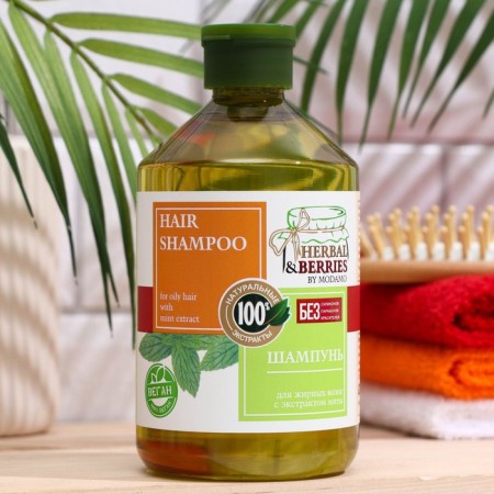 Fatty hair shampoo with mint extract "Herbal & Berries" by Modamo 500ml
