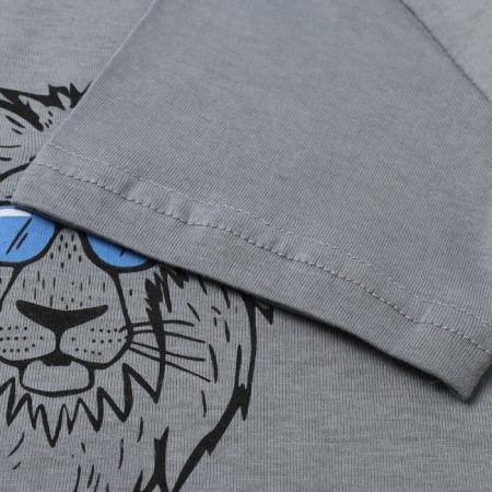 T -shirt for a boy , color gray/lion, height 140-2