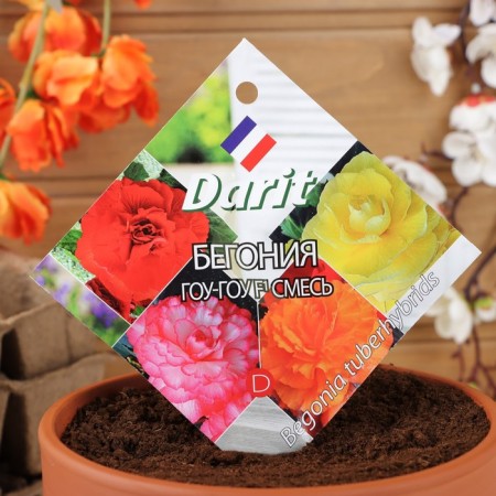 Bogonia flowers "GOU-GOU", 6 pcs.-2