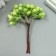 Decor for creativity "Berries" 1 bouquet = 6 branches green 10 cm