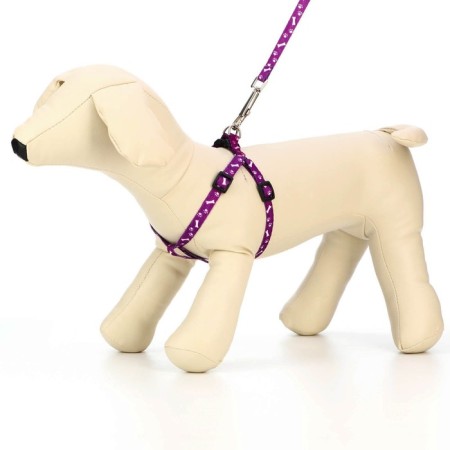 Set "Classic", leash 120 x 1 cm, fire 28-47 cm, purple-2