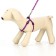 Set "Classic", leash 120 x 1 cm, fire 28-47 cm, purple