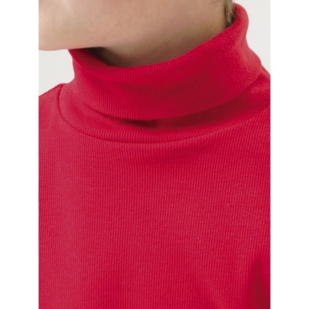 Turtleneck for the boy Pelican, height 128 cm, red color-1
