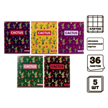 A set of notebooks of 5 pieces, 36 sheets in the Calligrata cactus cage, covered cardboard, offset block