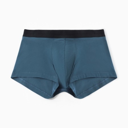 Panties men's boxers, sea wave, river 48 (m)
