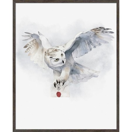 Reproduction of the painting "Postal owl", 40x50, frame (20-008d)