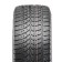 Winter NesyPatable DoubleStar DW02 245/50 R20 102T