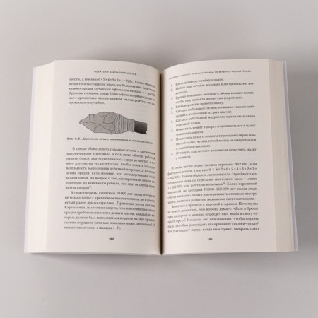 Seekers of patterns. How autism contributes to human ingenuity. Baron-Cohen S.-5
