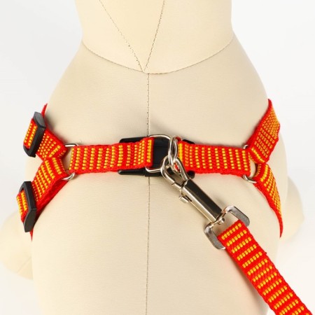 Acunition set is embossed, leash 120 x 1.5 cm, OG 36-49 cm, red-yellow-3