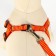 Acunition set is embossed, leash 120 x 1.5 cm, OG 36-49 cm, red-yellow