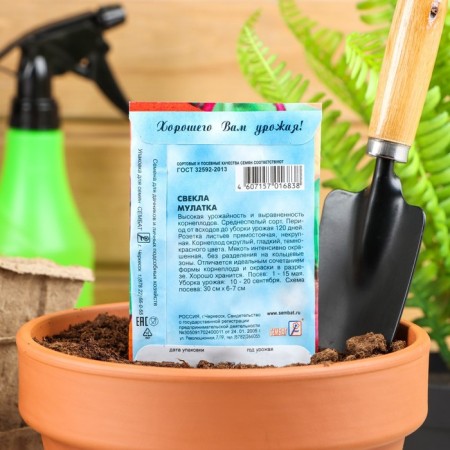 Seeds "mulatto", 2 g-1