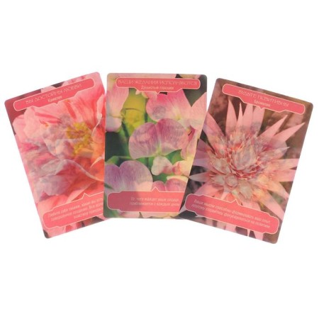 Floral therapy magic. (44 cards + brochure). Virche D. RIVS R.-1