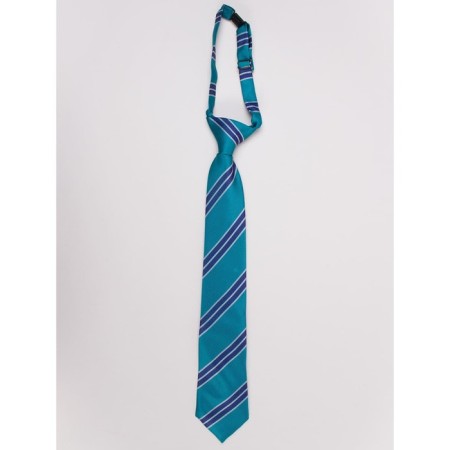 Tie for boys ise, green color