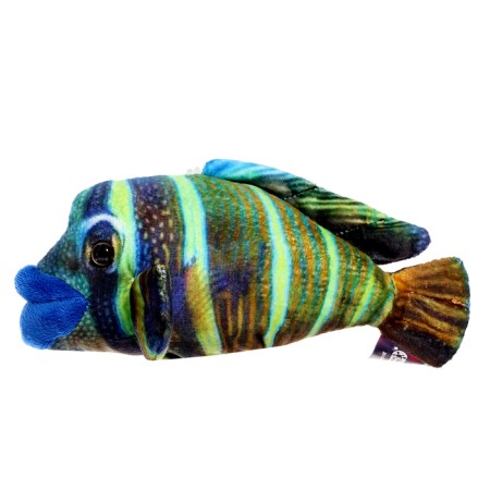 Soft toy "Fish Napoleon Mini", 16 cm-1