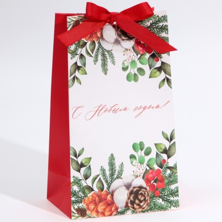 Gift package with the New Year's time tape, 13 x 23 x 7 cm, New Year-1