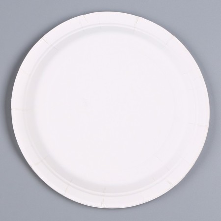 Paper plate "Dinosaurus", in a set of 6 pcs.-2
