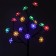 Lamp on the sunny battery "Era", "Sakura" 32 cm, IP44, 16LED, 1rezh, multi