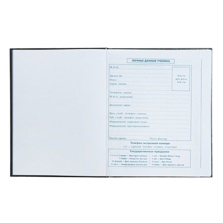 School diary for grade 1-4, 48 sheets "Racing", hard cover, glossy lamination, universal cheat sheet, block 65 g/m2-4