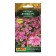 Petunia flowers "Atlas", cascaded, F1, test tube, 5 pcs