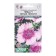 Flowers Carnation Inter -venaled Chib Lilak Pikoti, 5 pcs