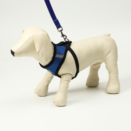 A set of ammunition with a soft harness and a reflective patch, m, Osh 26 cm, OG 36-44 cm, blue 76143-1