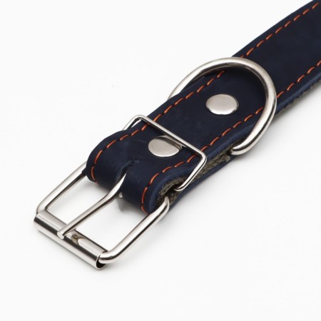 Collar combined leather/tarpaulin, dimensionless, 70 x 3.5 cm, Osh 25-60 cm, blue-4