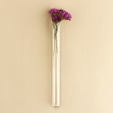 The flask is glass, floristic, for flowers, 15 x 1.5 cm, packing 9 pcs.-3