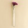 The flask is glass, floristic, for flowers, 15 x 1.5 cm, packing 9 pcs.