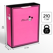 Laminated vertical package 31 x 40 x 11 cm 