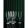 A set of glasses for champagne "Magnolia", 6 pcs, 210 ml