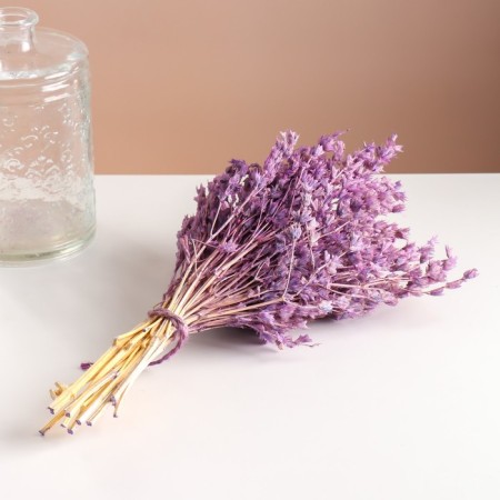 Set of dried flowers "chandra", banch length 40 (+/- 6 cm), lilac-4