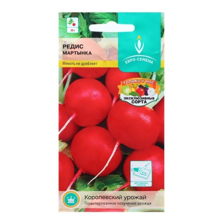 Seeds Radis "Martynka", central/p, 1 g