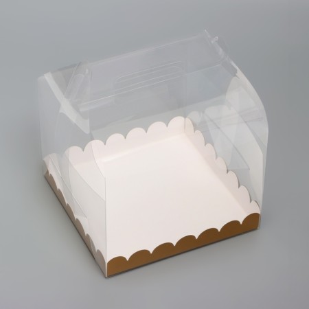 PVC Cake for 20 x 20 x 15 cm-1