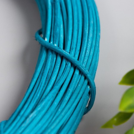 Ring Roadan for manufacturing the catfish "Blue" d = 25 cm-1