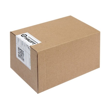 Roofing screws, Haupt 5.5x25 Ral9003, white 250 pcs-1
