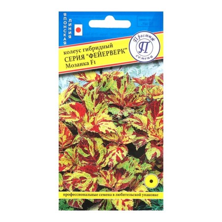 Flower Flows Koleus "Fireworks" mosaic f1, o, 10 pcs-2