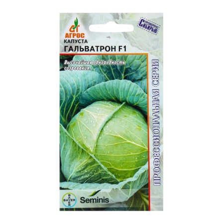 Cabbage Cabbage seeds "Galvatron" F1 15pcs* Seminis