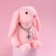 Soft toy "The most beautiful", bunny