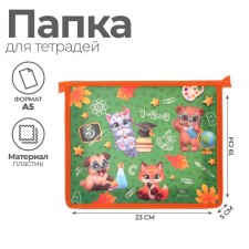 Folder for notebooks A5, 230 x 190 x 50 mm, lightning from above, plastic, calligrata 