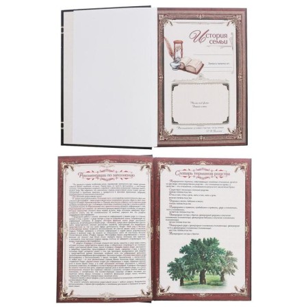 The genealogy book "Family Chronicle", 56 sheets, 16.5 x 24 cm-4