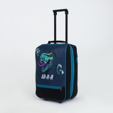 Small suitcase 20 