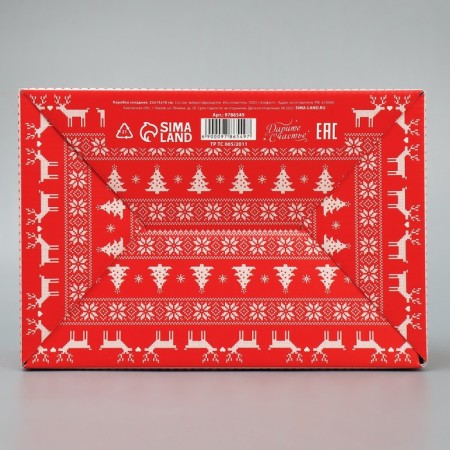 Box —Penal "heat and comfort", 22 x 15 x 10 cm, new year-5