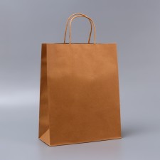 Craft packet without printing, round handle, 26 x 12 x 33 cm, 120 g