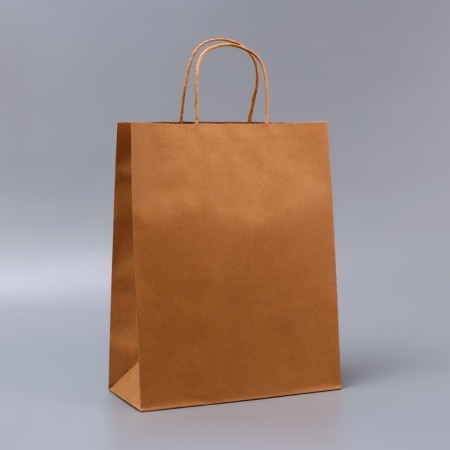 Craft packet without printing, round handle, 26 x 12 x 33 cm, 120 g