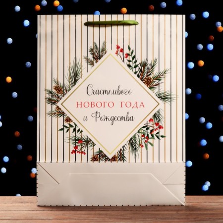 Laminated New Year and Christmas Package, 33 x 42 x 10 cm-1
