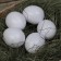 The egg is artificial lining, for chickens, 4 × 5 cm, 1 pc., White, Greengo