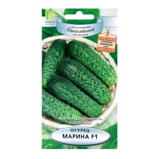 Seeds Cucumber Marina, F1, 12pcs