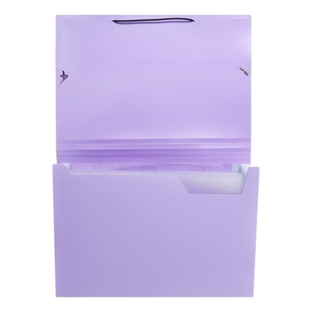 Folder Carder Calligrata watercolor 13 department. A4 plastic 0.7mm lavender, black resident-3