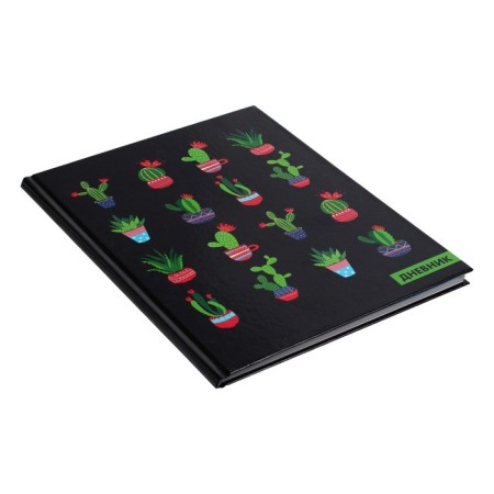 Universal diary for grades 1-11, "cacti", solid cover 7BC, glossy lamination, 40 sheets-1