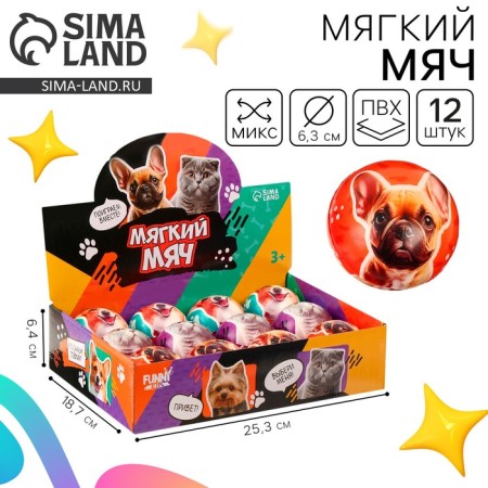 Baby Baby soft "Pets" 6.3cm, in showbox